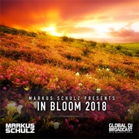 Thumbnail for the Libra - Anomaly (Calling Your Name) (Gdjb in Bloom 2018) [Markus Schulz Remix] link, provided by host site