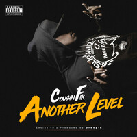 Thumbnail for the Cousin Fik - Another Level link, provided by host site