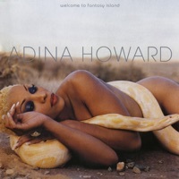 Thumbnail for the Adina Howard - Another Level (Interlude) link, provided by host site