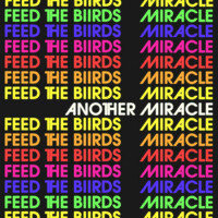 Image of Feed The Biirds linking to their artist page due to link from them being at the top of the main table on this page