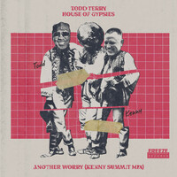 Thumbnail for the Todd Terry - Another Worry (Kenny Summit Mix) link, provided by host site