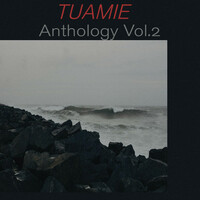 Thumbnail for the Tuamie - Anthology, Vol. 2 link, provided by host site