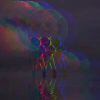 Thumbnail for the Geechi - Anthony Edwards link, provided by host site