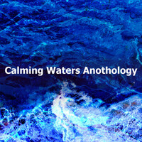 Image of Ocean Sounds Collection linking to their artist page due to link from them being at the top of the main table on this page