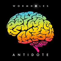 Thumbnail for the The Wormholes - Antidote link, provided by host site