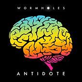 Thumbnail for the The Wormholes - Antidote link, provided by host site