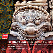 Thumbnail for the Boston Modern Orchestra Project - Antiphonal Spirals link, provided by host site