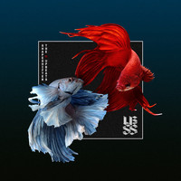 Thumbnail for the Shapeshifter - Antipodes - Shapeshifter & The Upbeats link, provided by host site