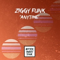 Thumbnail for the Ziggy Funk - Anytime link, provided by host site