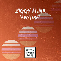 Thumbnail for the Ziggy Funk - Anytime link, provided by host site