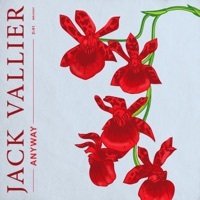 Thumbnail for the Jack Vallier - Anyway link, provided by host site