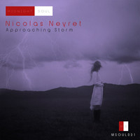 Thumbnail for the Nicolas Neyret - Approaching Storm link, provided by host site