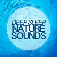 Thumbnail for the Outside Broadcast Recordings - Approaching the Water link, provided by host site