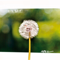 Thumbnail for the BLØF - April link, provided by host site