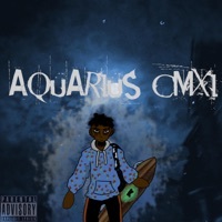 Thumbnail for the Overpade - Aquarius 91111 link, provided by host site