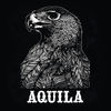 Thumbnail for the Aquila - Aquila link, provided by host site