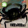 Thumbnail for the David Kassi - Arahova (Remixes) link, provided by host site