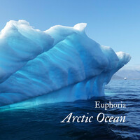 Thumbnail for the Euphoria - Arctic Ocean link, provided by host site