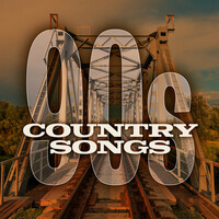 Thumbnail for the Randy Travis - Are We In Trouble Now link, provided by host site
