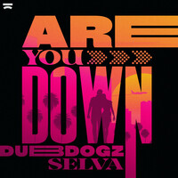 Thumbnail for the Dubdogz - Are You Down link, provided by host site