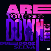 Thumbnail for the Dubdogz - Are You Down (The Remixes) link, provided by host site