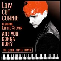 Thumbnail for the Low Cut Connie - ARE YOU GONNA RUN? (Little Steven Remix) link, provided by host site