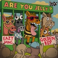 Thumbnail for the Eazy Mac - Are You Jelly? link, provided by host site