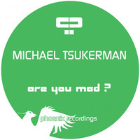 Thumbnail for the Michael Tsukerman - Are You Mad? link, provided by host site