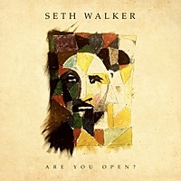 Thumbnail for the Seth Walker - Are You Open? link, provided by host site