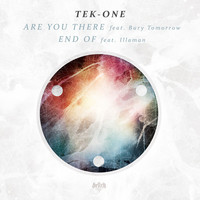 Thumbnail for the Tek-One - Are You There / End of link, provided by host site
