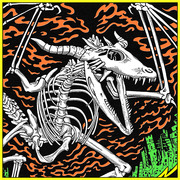 Thumbnail for the King Gizzard & The Lizard Wizard - Aretha Franklin Ampitheater link, provided by host site