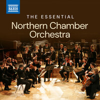 Thumbnail for the Johann Sebastian Bach - Aria. Ich habe genug (Version for choir and orchestra) link, provided by host site