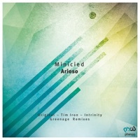 Thumbnail for the Minicied - Arioso (Intrinity Remix) link, provided by host site