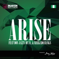 Thumbnail for the Mavins - Arise link, provided by host site
