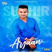 Thumbnail for the Sudhir - Arjaan link, provided by host site