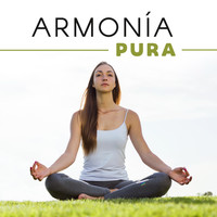 Thumbnail for the Meditation Awareness - Armonía Pura link, provided by host site