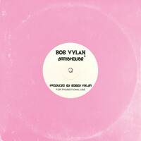 Thumbnail for the Bob Vylan - Armshouse link, provided by host site