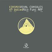 Thumbnail for the Rival Consoles - Arp link, provided by host site