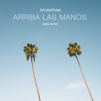 Thumbnail for the Splashfunk - Arriba Las Manos link, provided by host site