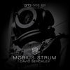 Thumbnail for the Mobius Strum - Arta 002 link, provided by host site