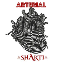 Thumbnail for the Shakti - Arterial link, provided by host site