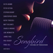 Thumbnail for the Christopher Cross - Arthur's Theme (Best That You Can Do) link, provided by host site