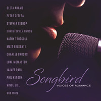 Thumbnail for the Christopher Cross - Arthur's Theme (Best That You Can Do) link, provided by host site