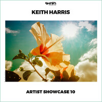 Thumbnail for the Keith Harris - Artist Showcase 10: Keith Harris link, provided by host site