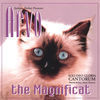 Thumbnail for the Soli Deo Gloria Cantorum - Arvo the Magnificat link, provided by host site