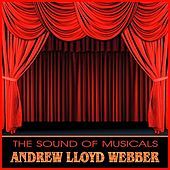 Thumbnail for the Zoe Nicholas - As If We Never Said Goodbye (from Sunset Boulevard) link, provided by host site