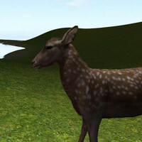 Thumbnail for the Bruce Murray - As the Deer link, provided by host site