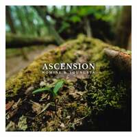 Thumbnail for the Nomine - Ascension link, provided by host site