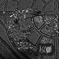 Thumbnail for the Asco - Ascø link, provided by host site