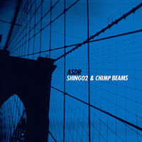 Thumbnail for the Shing02 - ASDR link, provided by host site